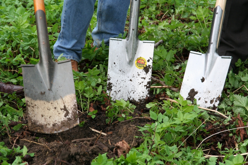 pepiniere-VILLENEUVE D ENTRAUNES-min_work-lawn-flower-tool-green-backyard-1103633-pxhere.com